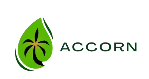 Accorn Logo